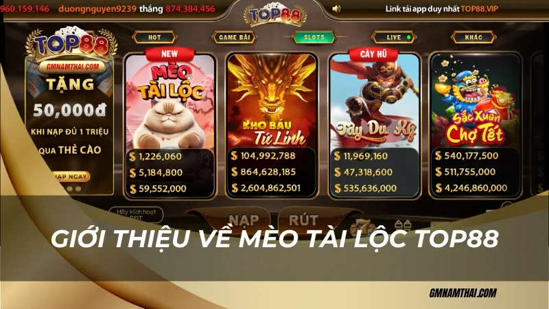 Giới thiệu về Mèo Tài Lộc Top88
