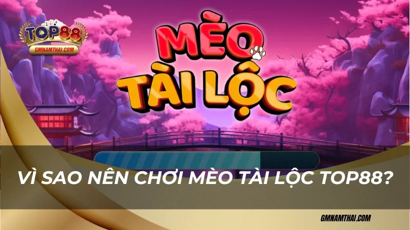 Vì sao nên chơi Mèo Tài Lộc Top88